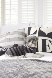 Hotel Doggy offers  a curated collection  of dog apparel   that champions  style and quality.